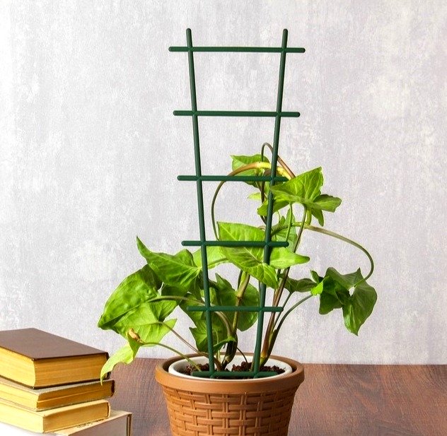 подпорка для растений металлическая. Фото N3