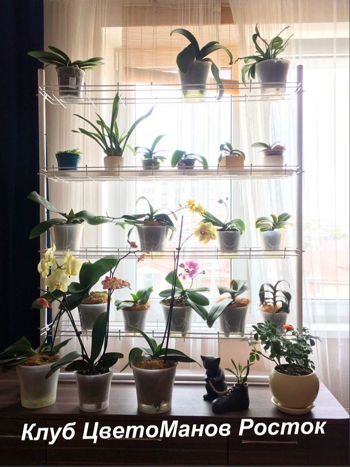 разборный стеллаж на подоконник для растений и рассады. Фото N17