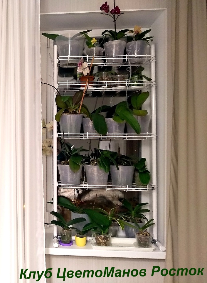 разборный стеллаж на подоконник для растений и рассады. Фото N25