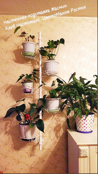 подставка металлическая для цветов на стену. Фото N18