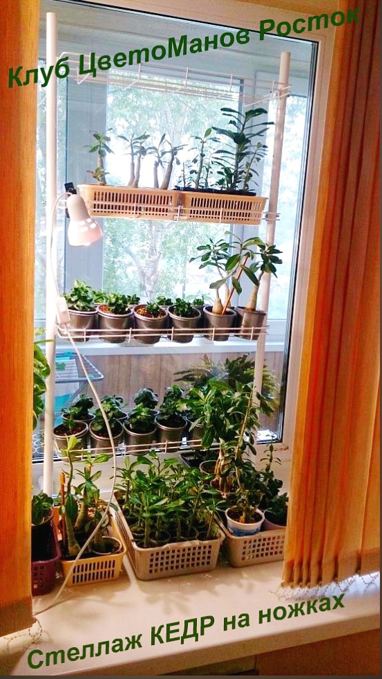разборный стеллаж на подоконник для растений и рассады. Фото N27